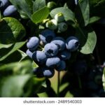 2025041期双色球开奖结果最新公布 0zz7q