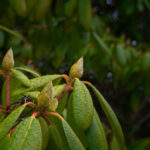 2025027期福彩3D开奖结果最新公布查询 18neh