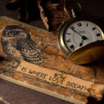 2025024期双色球开奖号码结果查询与公布 1m72r