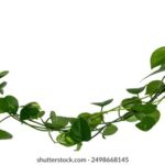 2025033期足彩开奖结果最新公布 359ri