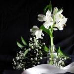 2025053期福彩开奖结果最新公布 3qvprvt2