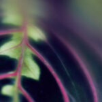 2025039期双色球开奖号码结果查询与公布 3vppe