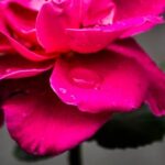 2025025期双色球开奖号码已公布,快来看看你中奖了吗? 4pw9b4r1