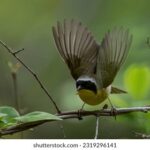 2025020期彩票开奖时间及结果查询指南 a4abt98