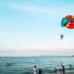 3D试机号近30期开奖结果历史数据汇总分析 djdq4xv5e9