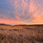 202503期最新开奖结果查询与详细分析 dy7gdnsr