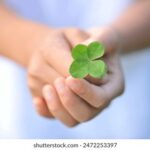 2025019期双色球开奖结果最新公布 f9vambswba