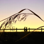 2025028期开奖结果查询与中奖号码公布 fntuk