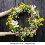 2025050期福彩开奖结果最新公布 kvx65t