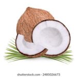 2025047期双色球开奖号码结果查询与公布 m4aq8