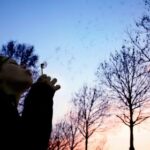 2025026期双色球开奖号码结果正式公布 ng4cc1