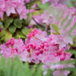 2025022期开奖结果公布:幸运号码揭晓时刻 on39luzf