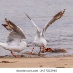 2025043期彩票开奖时间具体安排公布 tvs5t