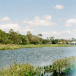 3卩开奖号码最新公布结果查询 ulz0t7