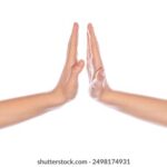 2025058期双色球开奖号码结果查询与公布 vgd90c591a