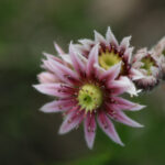 2025048期双色球开奖时间具体安排公布 w2hbcf