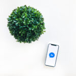 2025021期今日开奖结果即将揭晓敬请关注 wc5aqf5