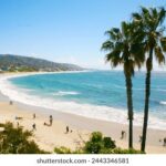 2025029期彩票开奖结果查询与中奖号码公布 zyfjw3